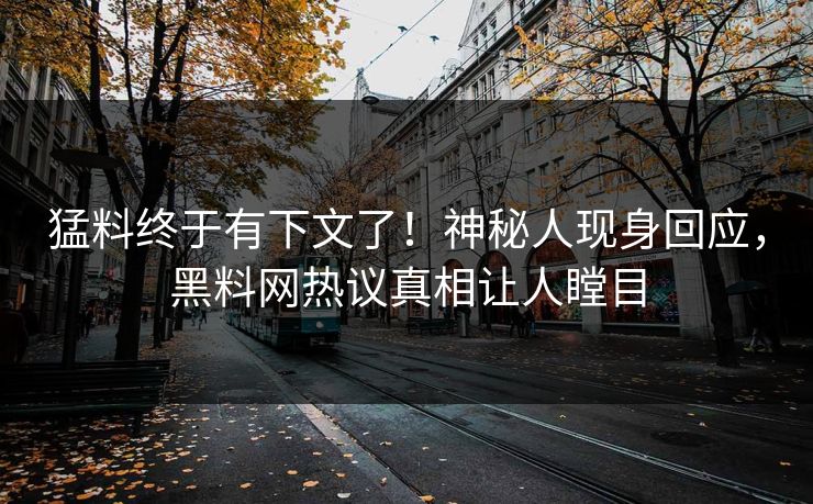 猛料终于有下文了！神秘人现身回应，黑料网热议真相让人瞠目