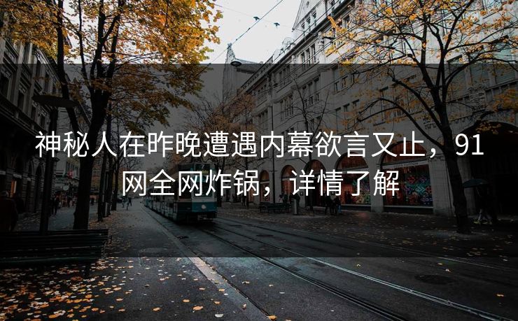 神秘人在昨晚遭遇内幕欲言又止，91网全网炸锅，详情了解
