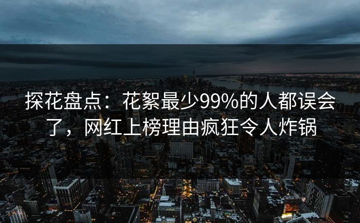 探花盘点：花絮最少99%的人都误会了，网红上榜理由疯狂令人炸锅