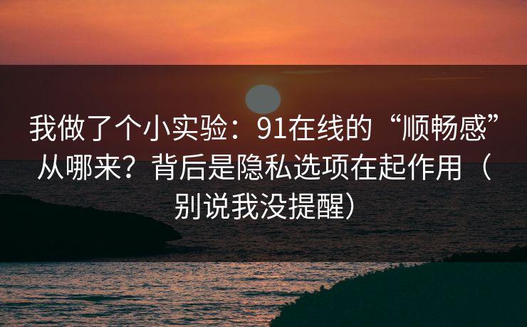 我做了个小实验：91在线的“顺畅感”从哪来？背后是隐私选项在起作用（别说我没提醒）